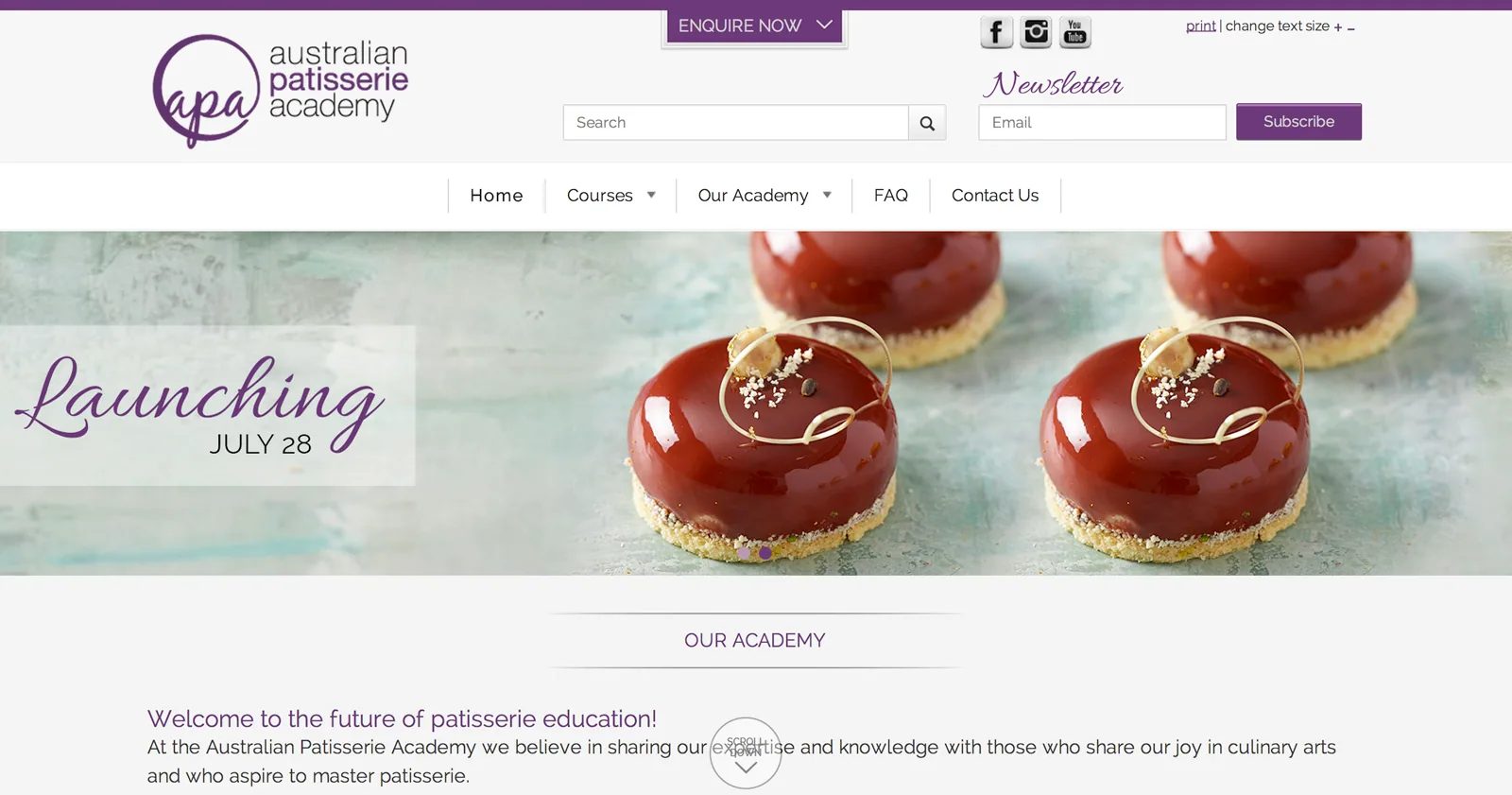 Figure: The SSW send the APA website live… 28th July 2014
