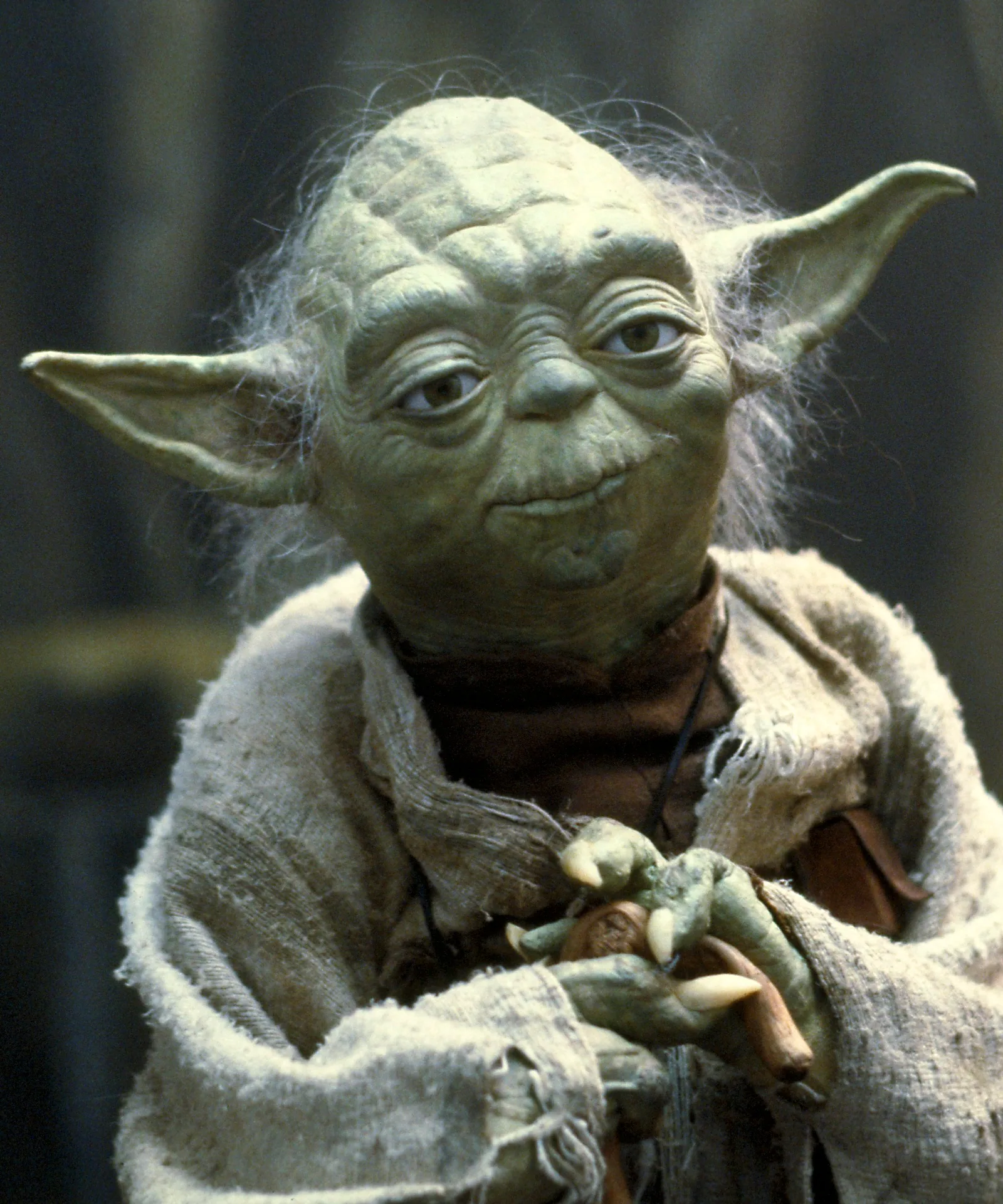 Yoda says: 365 you say? Understand Dynamics you must