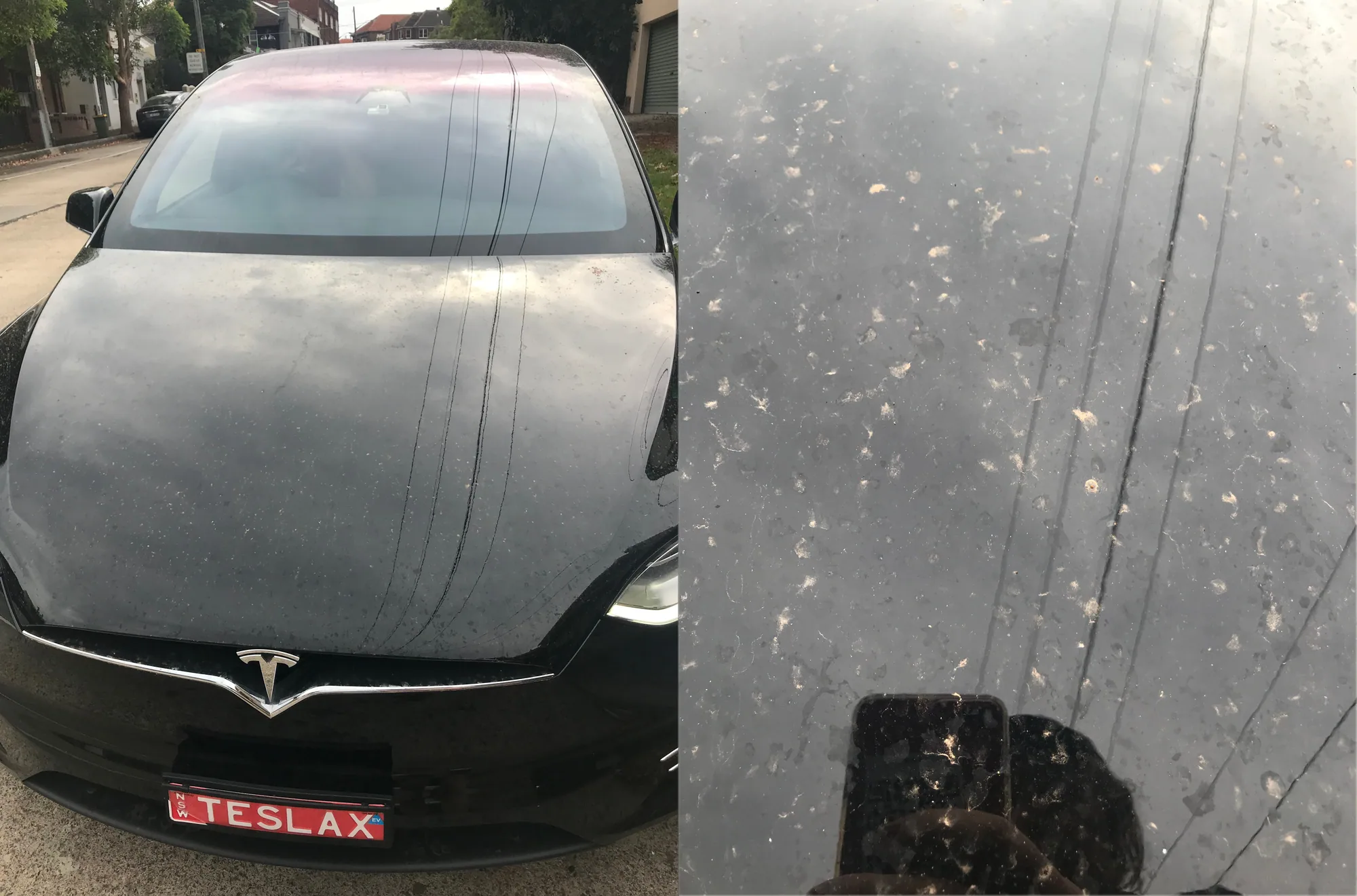 City slickers are a little removed, other than the ash that is in the air and filthy cars. Look at my car a day after having it washed – this is a visual image of what we are currently breathing everyday