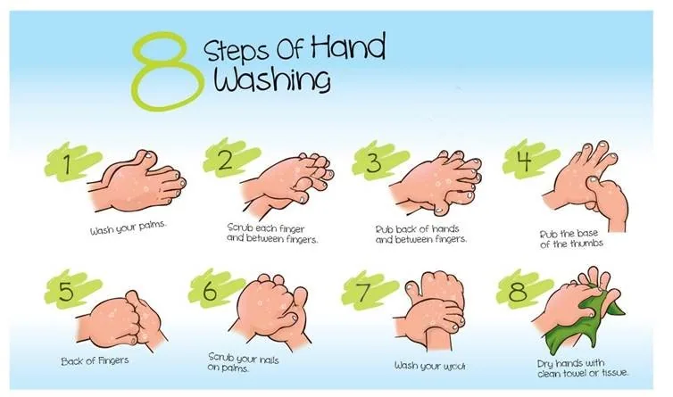 8 Steps of washing your hands ✔