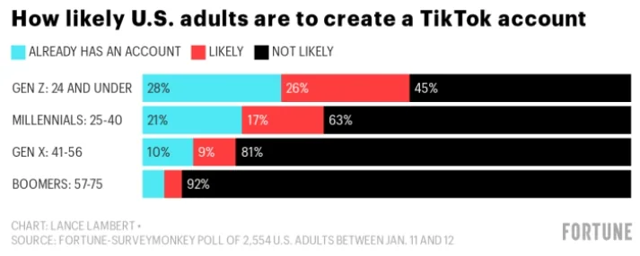 Figure showing TikTok User demographics