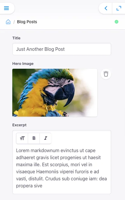 Screen image showing only 3 buttons showing in a situation where a minimal amount of text customization is desired (users can't even add images)