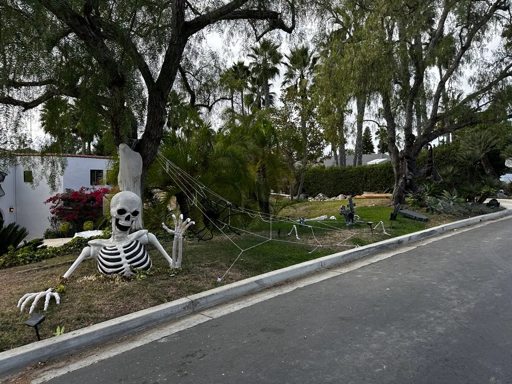 The whole street was for the occasion – it was awesome