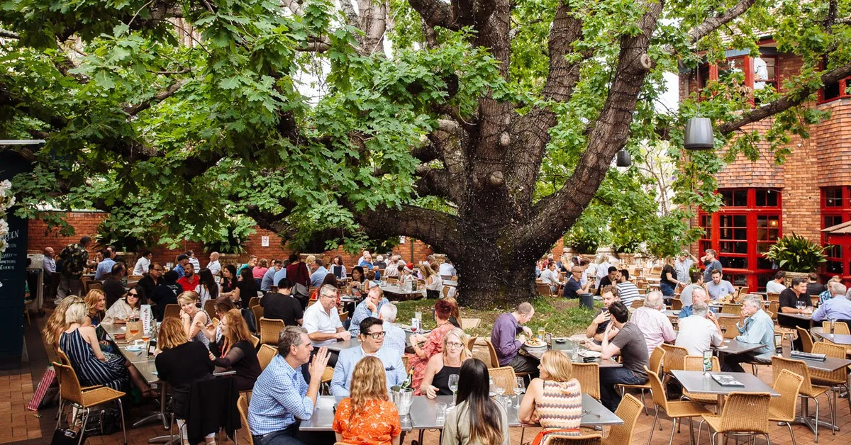 A picture of a tree at the Oak Hotel pub and people sitting